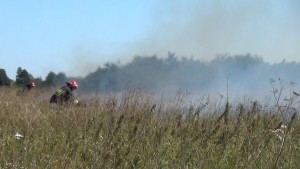 NOWOTNA. POŻAR NIEUŻYTKÓW ROLNYCH - 18.08.2015