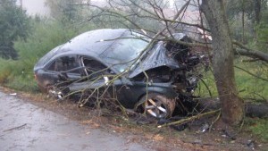 Kierowca Audi stracił panowanie nad pojazdem i uderzył w drzewo. Weekendowy raport służb mundurowych – 19.10.2015 