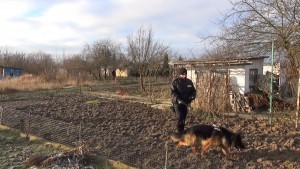 Malbork: Straszy brat już kilkanaście razy uciekał z domu. Służby poszukują zaginionych chłopców – 30.12.2015