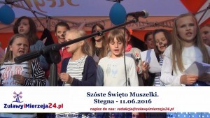 Stegna. Szóste Święto Muszelki – 11.06.2016