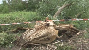 33-latek z Dzierzgonia zatrzymany za posiadanie 250 gram amfetaminy.  Weekendowy raport sztumskich służb mundurowych – 18.07.2016