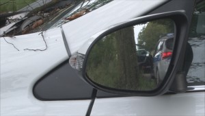 Toyota uderzyła w drzewo w Poliksach. 41-latka z obrażeniami ciała zabrana do szpitala  - 10.08.2016