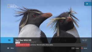 Telewizja + Internet już od 39 zł. Malborska Kablówka 3 Generacji już w sprzedaży.