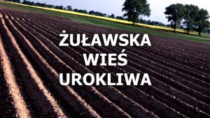 Żuławska Wieś Urokliwa 