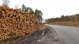 Co zamiast Przekopu Mierzei Wiślanej? Opinia widza.