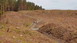 7 ofert na budowę kanału na Mierzei Wiślanej. Która firma zajmie się największą rządową inwestycją?