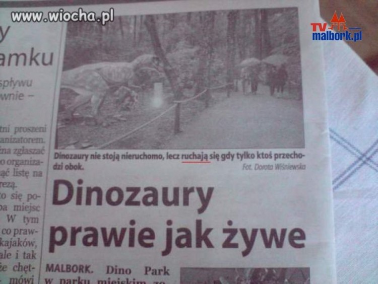 Dinozaury..