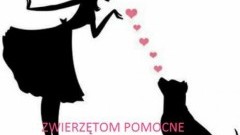 Akcja taka- tablica dla zwierzaka! Zwierzętom Pomocne- Pomorskie zaprasza&#8230;