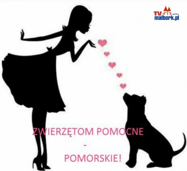 Akcja taka- tablica dla zwierzaka! Zwierzętom Pomocne- Pomorskie zaprasza&#8230;