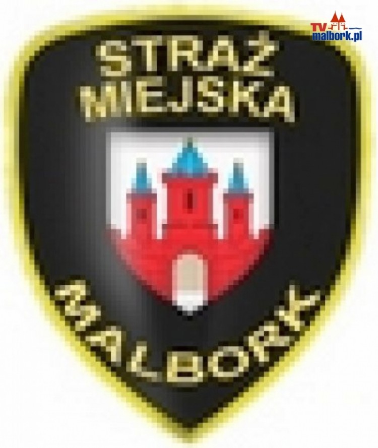 Malbork: Kontrola stref płatnego parkowania - 12.06.2013