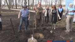 SŁUCHACZE U3W Z MALBORKA POSADZILI DĄB Z OKAZJI 10- LECIA ISTNIENIA - 21.03.2014