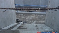 TUNEL WCIĄŻ BEZ ASFALTU. ZOBACZ PROBLEMOWĄ RURĘ I NAJNOWSZE ZDJĘCIA ORAZ WIDEO Z PLACU "BOJU" NA de GAULLEA - 23.05.2014