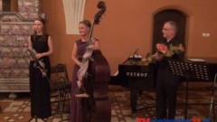 MUZYKA KLASYCZNA ZABRZMIAŁA W SALI NAROŻNEJ ZAMKU ŚREDNIEGO W MALBORKU. ZAMKOWE KAMERALIA - 25.06.2014