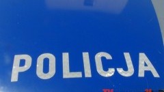 NOWODWORSKA POLICJA ZATRZYMAŁA 19-LATKA PODEJRZANEGO O KRADZIEŻ KRZEWÓW&#8230;