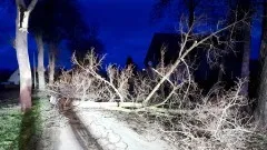 Powalone drzewa, uszkodzone dachy – tygodniowy raport malborskich służb&#8230;