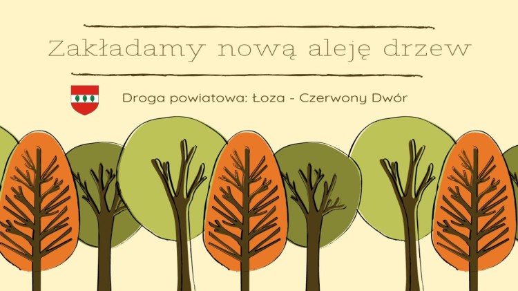Powiat sztumski. Nowa aleja drzew powstanie w gminie Stary Targ.