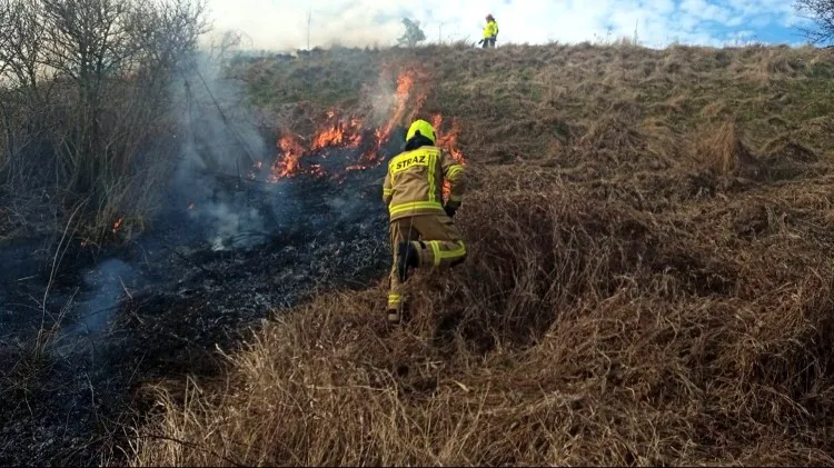 Wiosenne pożary traw – tygodniowy raport malborskich służb mundurowych.