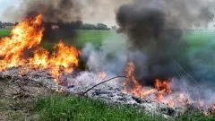 Pożary traw i wiatrołomy – tygodniowy raport malborskich służb mundurowych.