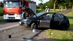 Gmina Nowy Staw. Policja podała przyczynę czwartkowego wypadku w Trępnowach.