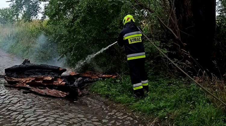 Pożary, gniazda owadów i wypadek drogowy – tygodniowy raport malborskich…