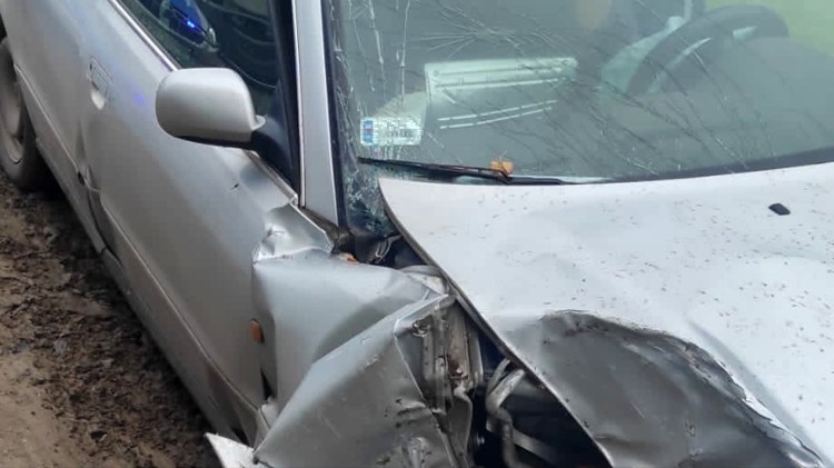 Powiat sztumski. Auto z przyczepką z bykiem w środku wpadło do rowu – kierowca z sądowym zakazem prowadzenia pojazdów.