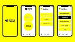 Działa już aplikacja Animal Helper – na ratunek zwierzętom.