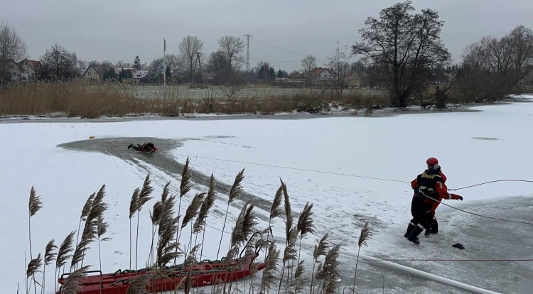 Nowy Dwór Gdański. Ćwiczenia strażackie z zakresu ratownictwa lodowego.