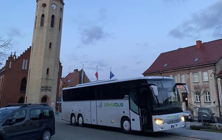 Gmina Nowy Staw została organizatorem przewozów autobusowych.