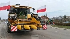 W Malborku protestowali rolnicy. Zobacz foto i wideo relację - 20.03.2024