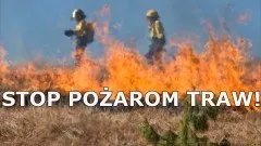 Pożary traw, uwięziony gołąb i uciekający pająk – raport malborskich&#8230;