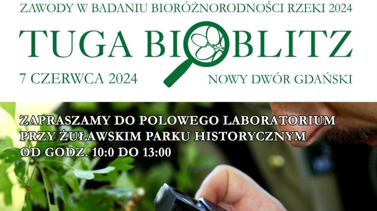 Nowy Dwór Gdański. Wkrótce zawody w badaniu bioróżnorodności rzeki Tuga - Bioblitz 2024.
