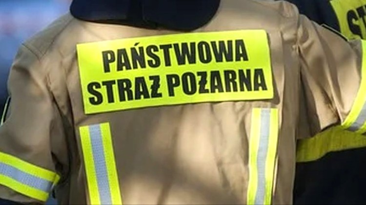 Powalone drzewa, zalana piwnica i gniazda os – tygodniowy raport malborskich…