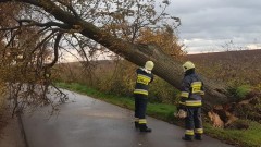 Połamane drzewa, zalany garaż i śmiertelny wypadek motocyklisty – raport sztumskich służb mundurowych.