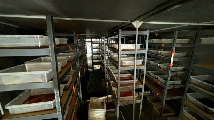 6 milionów złotych, blisko 200 kg zabezpieczonych substancji, zlikwidowane 2 linie produkcyjne i 2 osoby w areszcie to bilans realizacji policjantów gdańskiej komendy wojewódzkiej.