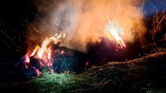 Pożary, owady błonkoskrzydłe i kolizja drogowa – tygodniowy raport malborskich służb mundurowych.