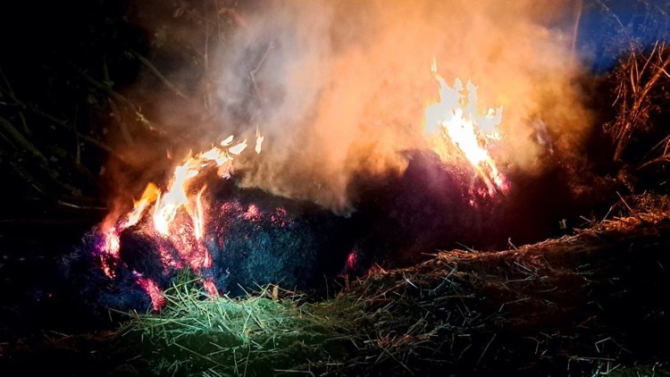 Pożary, owady błonkoskrzydłe i kolizja drogowa – tygodniowy raport malborskich służb mundurowych.