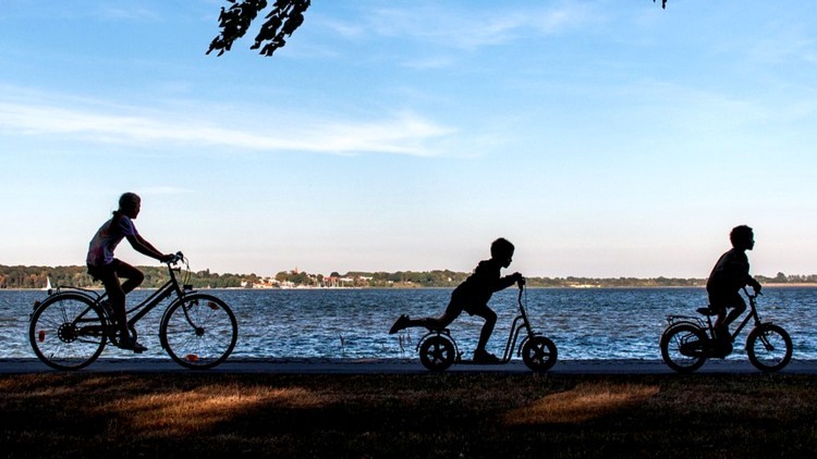 Malbork. Weź udział w Badaniu Klimatu Rowerowego.