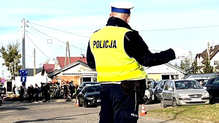 Malbork. 19. mandatów i 8. zatrzymanych dowodów rejestracyjnych –…