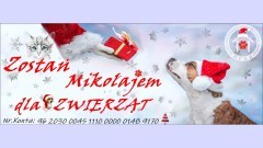 Malbork. Zostań Mikołajem dla zwierząt – świąteczna akcja REKSa.