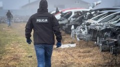 Uderzenie w przestępczość samochodową - policjanci odzyskali i zabezpieczyli pojazdy o wartości niemal 3 milionów złotych