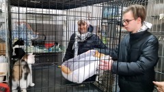 Uczniowie Technikum nr 3 wspomogli malborskiego REKSa – uszyli legowiska dla kotów.