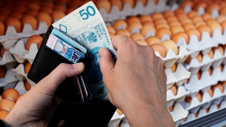 Ceny jaj przed świętami pójdą w górę. W sklepach będzie o 10-15% drożej niż rok temu [ANALIZA]