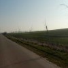 Zmieniamy Powiat Sztumski – zagłosuj na lokalizację przyszłych nasadzeń drzew.