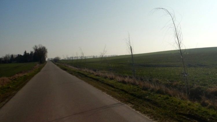 Zmieniamy Powiat Sztumski – zagłosuj na lokalizację przyszłych nasadzeń drzew.