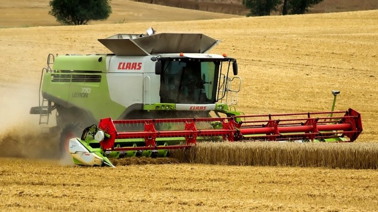 Pożar kombajnu, wąż w ogrodzie i owady błonkoskrzydłe – tygodniowy…