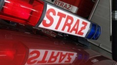 Poszukiwania zaginionej osoby, kolizje, zablokowana winda i sople lodu – tygodniowy raport malborskich służb mundurowych.