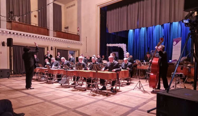Koncert Bez Barier - Europejski Dzień Walki z Dyskryminacją w Nowym Dworze Gdańskim.