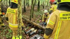Strażacy ćwiczyli gaszenie pożarów lasów w Nadleśnictwie Susz. Sprawdzono współdziałanie i logistykę wodną
