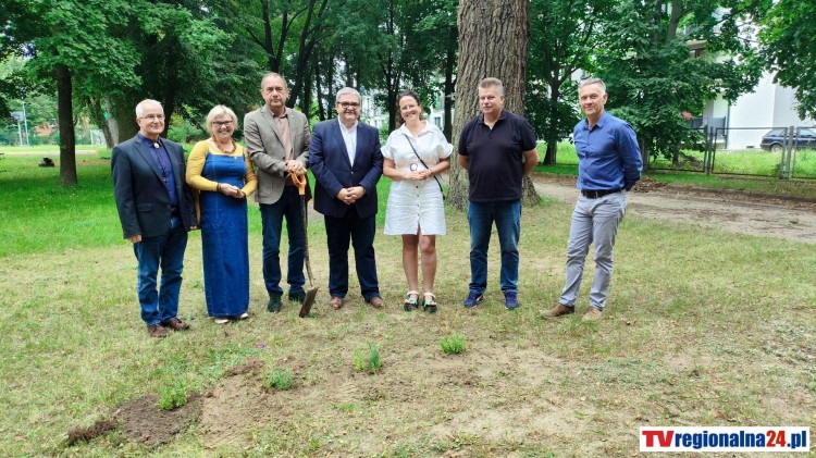 W Malborku powstanie pierwsza miejska pasieka. „Malborska Miodosfera”…