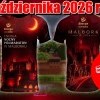 ENERGA NOCNY PÓŁMARATON W MALBORKU!